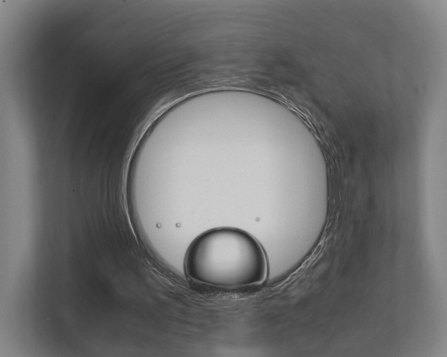 X0000111840195200907231046