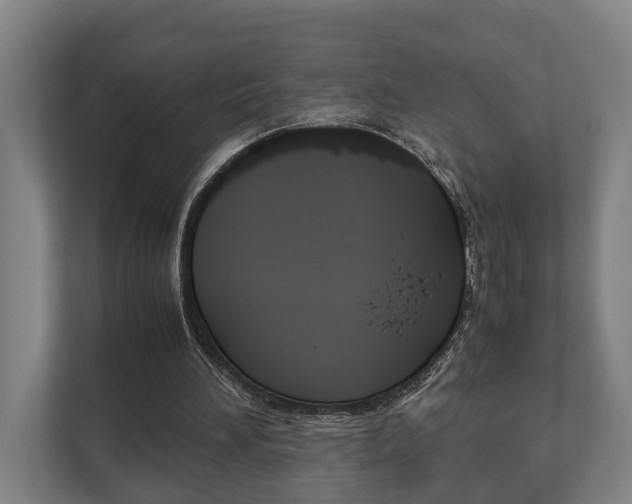 X0000111840196200907231046