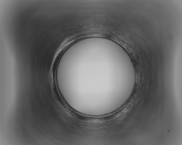X0000111840198200907231046