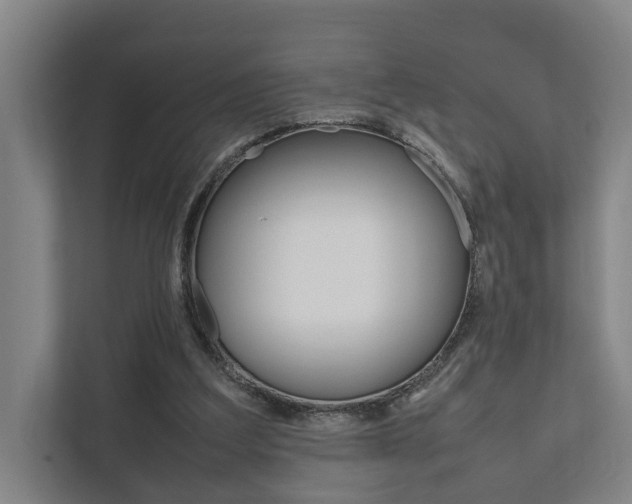 X0000111840203200907231046