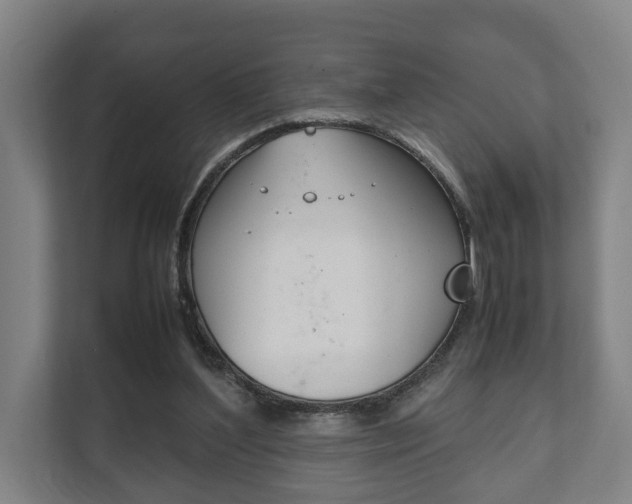 X0000111840204200907231046