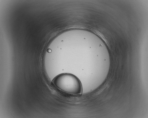 X0000111840205200907231046