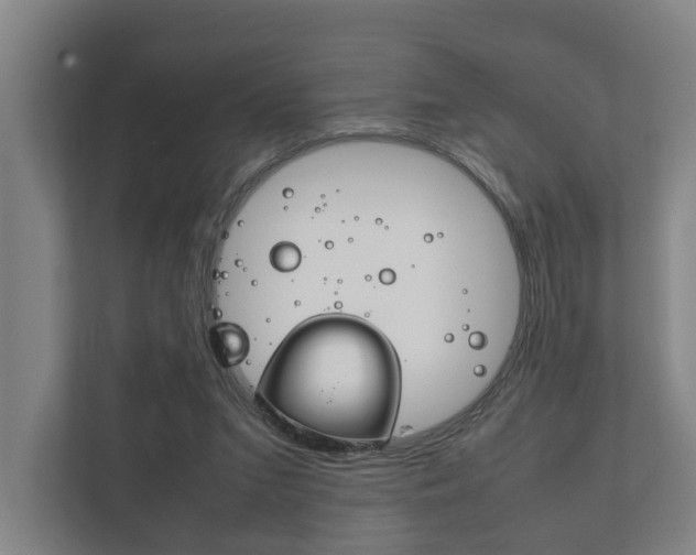 X0000111840207200907231046