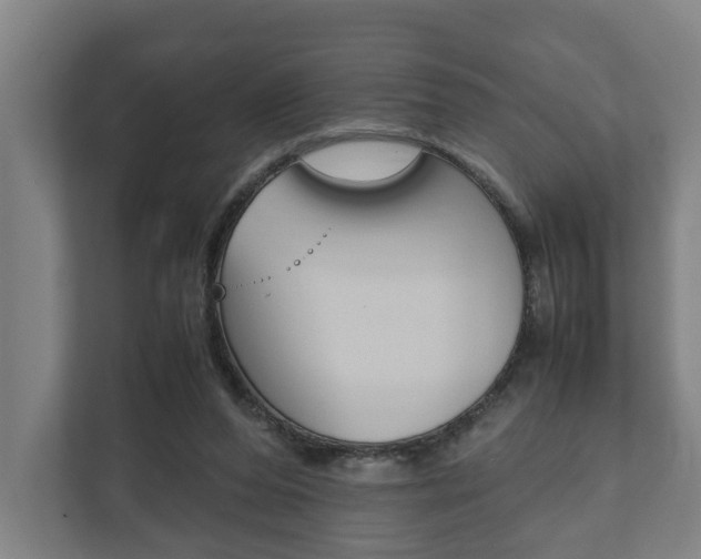 X0000111840208200907231046