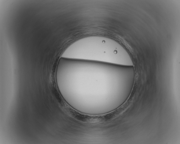 X0000111840209200907231046