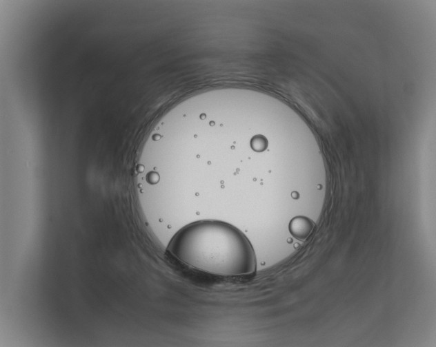 X0000111840211200907231046