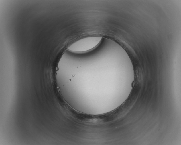 X0000111840212200907231046