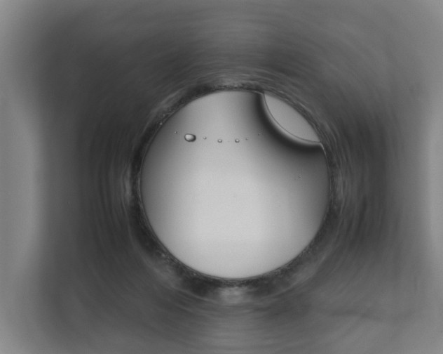 X0000111840216200907231046