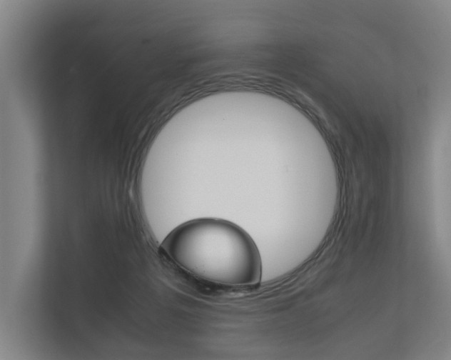 X0000111840217200907231046