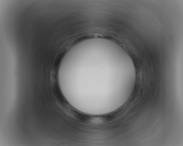 X0000111840218200907231046