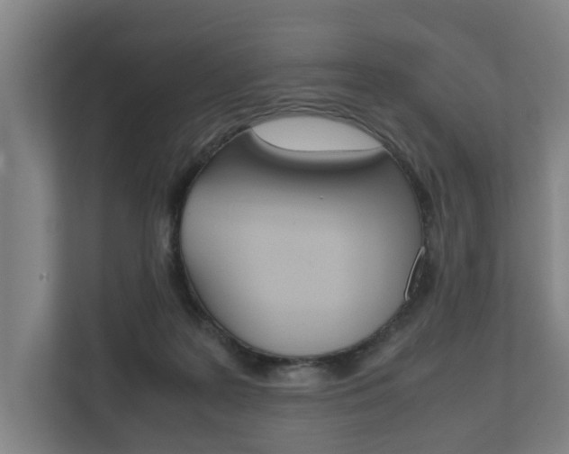 X0000111840219200907231046