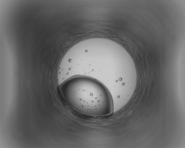 X0000111840223200907231046
