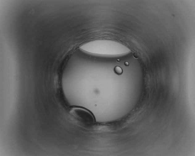 X0000111840224200907231046