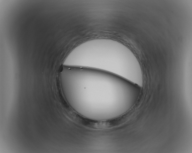 X0000111840225200907231046