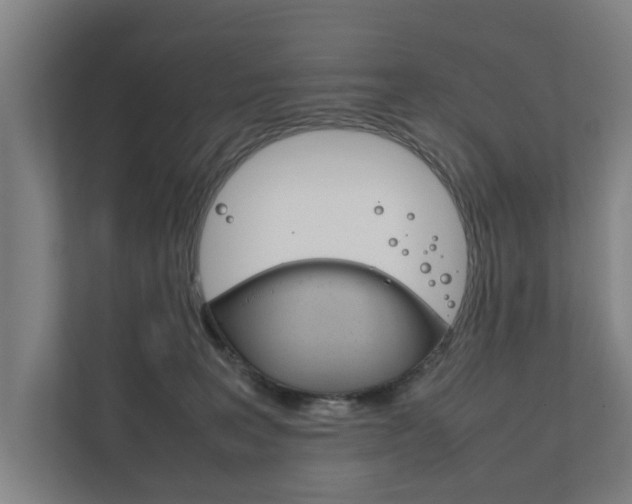 X0000111840227200907231046