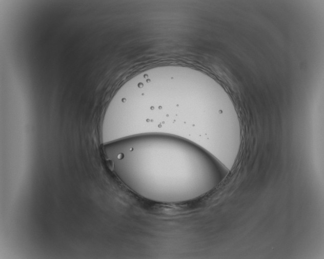 X0000111840229200907231046