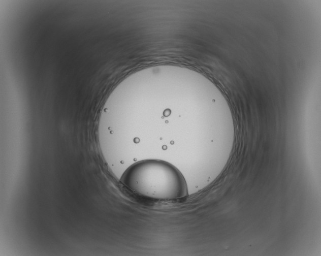 X0000111840231200907231046
