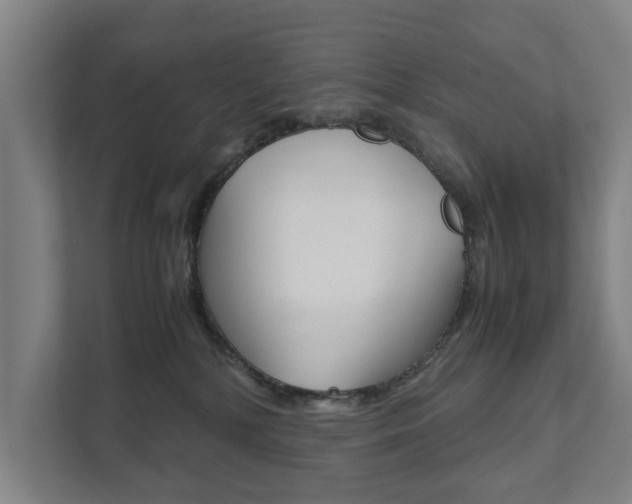 X0000111840232200907231045