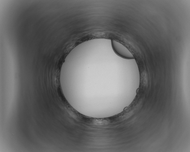 X0000111840234200907231045