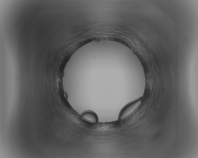 X0000111840235200907231045
