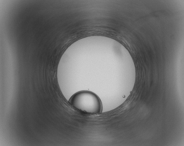 X0000111840237200907231045