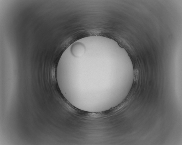 X0000111840238200907231045