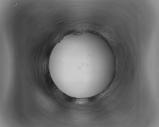 X0000111840240200907231045