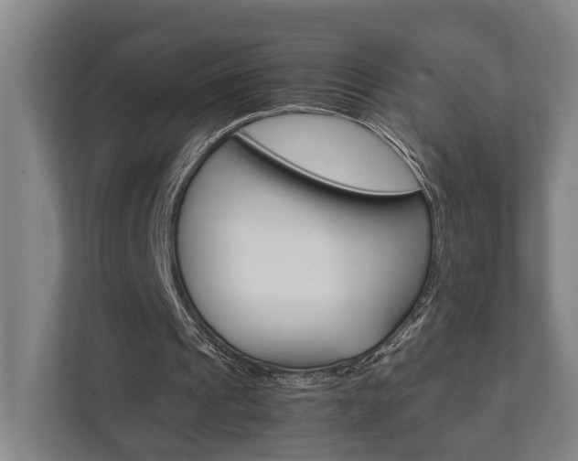 X0000111840241200907231045