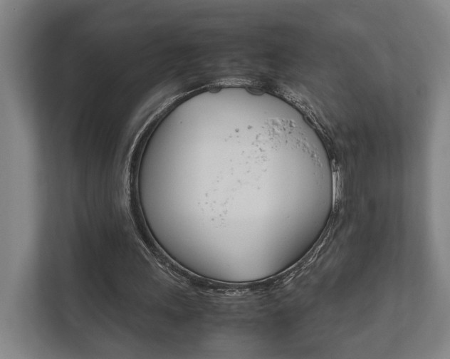 X0000111840243200907231045