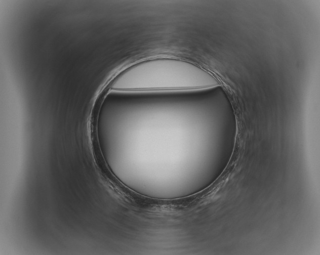 X0000111840244200907231045