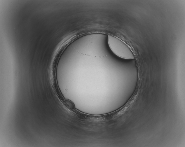 X0000111840245200907231045