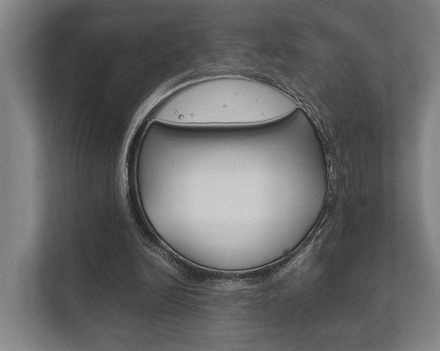 X0000111840246200907231045