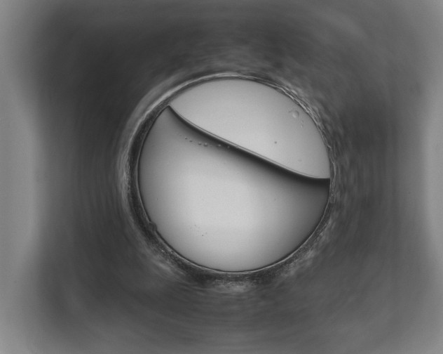 X0000111840247200907231045
