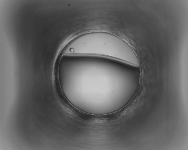 X0000111840248200907231045
