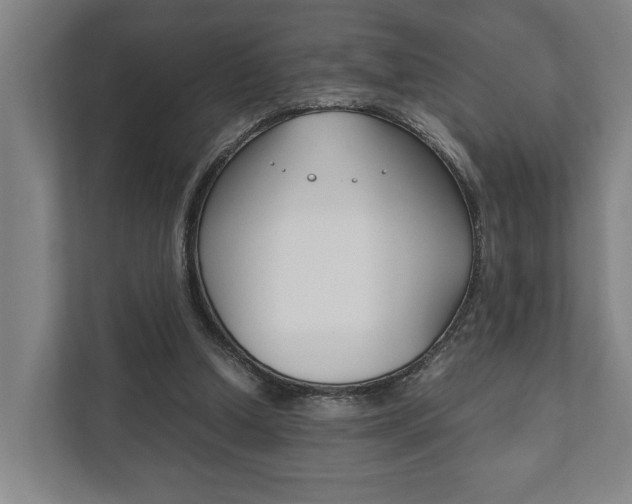 X0000111840250200907231045