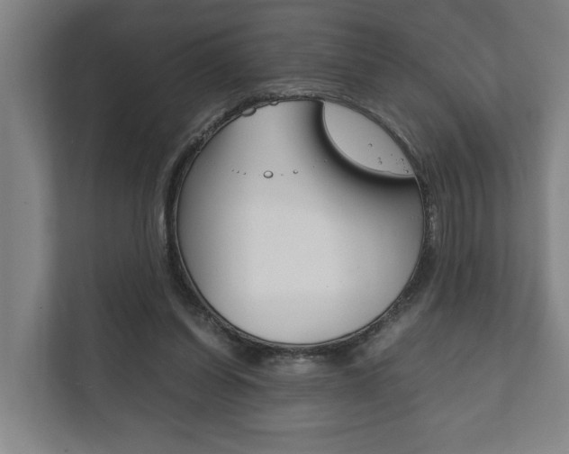 X0000111840254200907231045