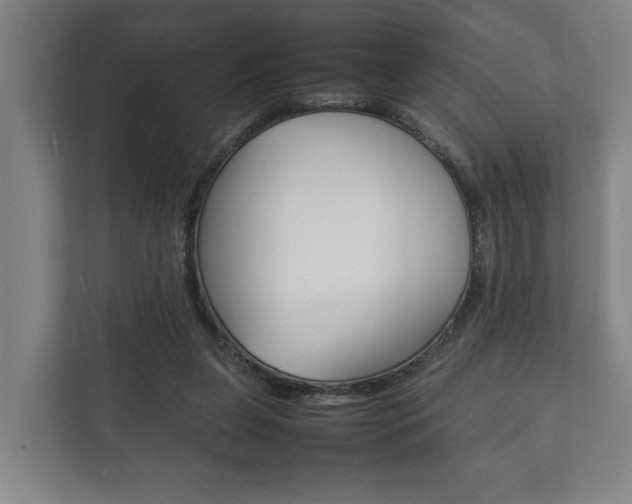 X0000111840255200907231045