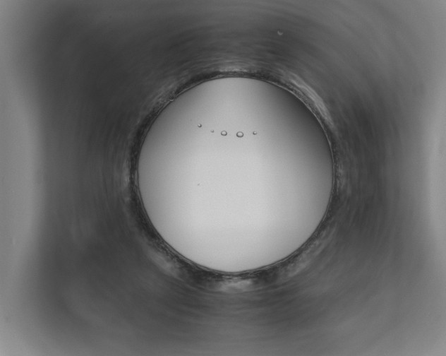 X0000111840257200907231045