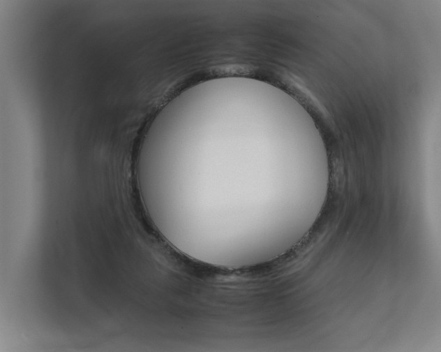 X0000111840259200907231045