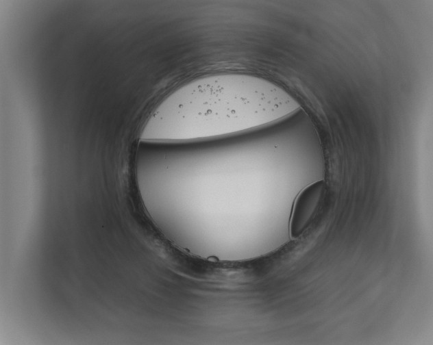 X0000111840260200907231045