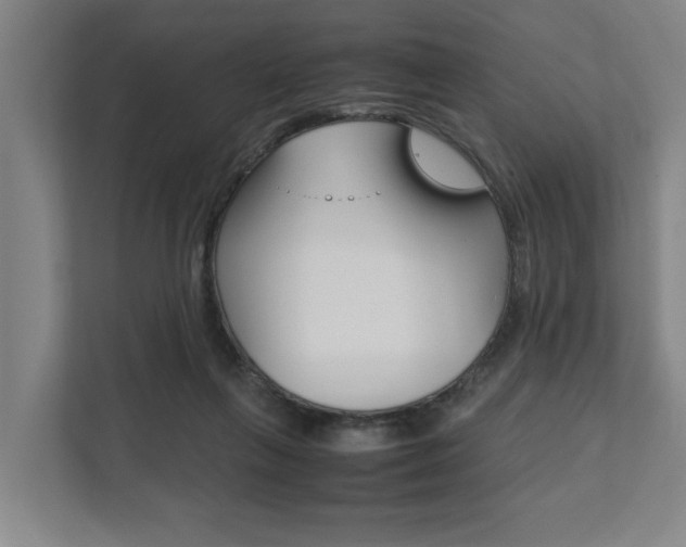 X0000111840263200907231045