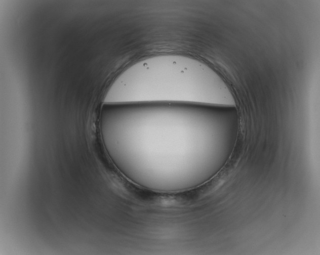 X0000111840264200907231045