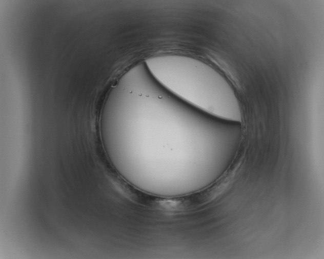X0000111840265200907231045