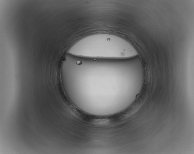 X0000111840266200907231045