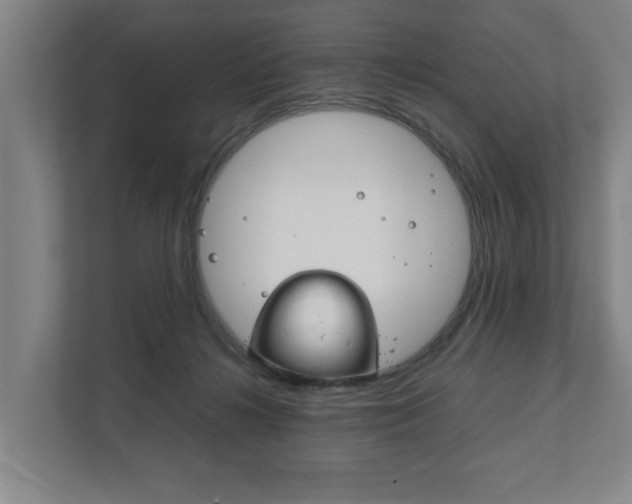 X0000111840268200907231045