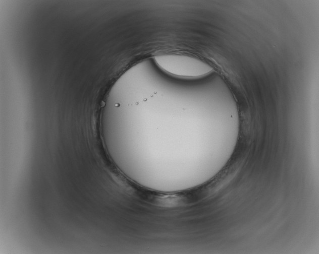X0000111840269200907231045