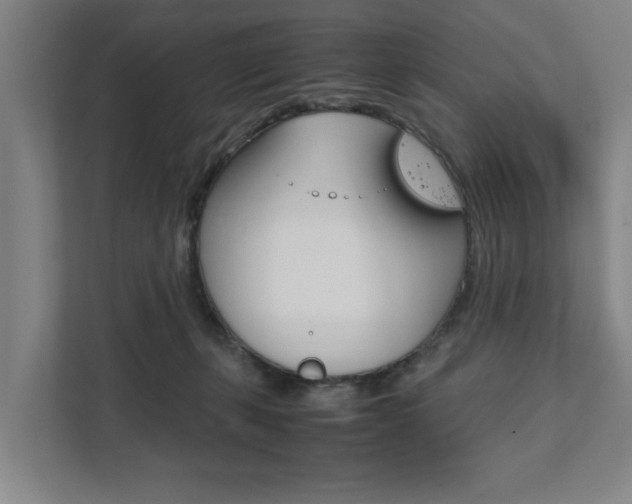 X0000111840271200907231045
