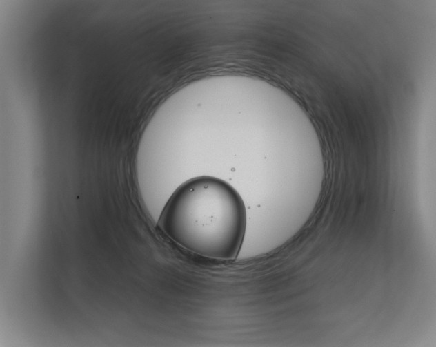 X0000111840272200907231045