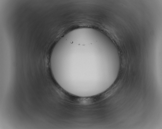 X0000111840273200907231045