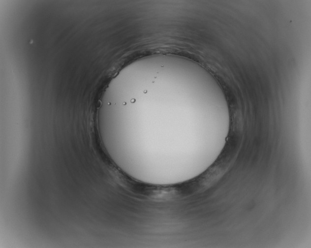 X0000111840274200907231045